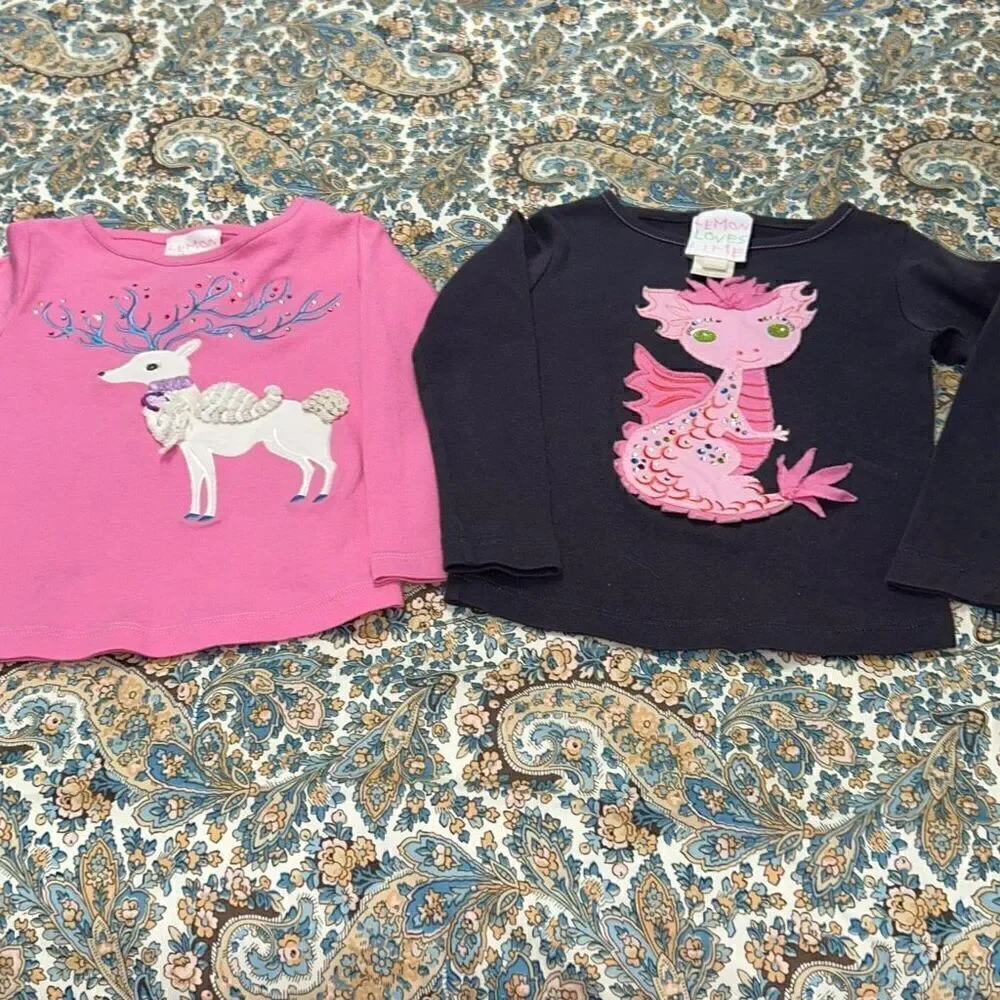 Lemon loves lime shirt bundle sz 2